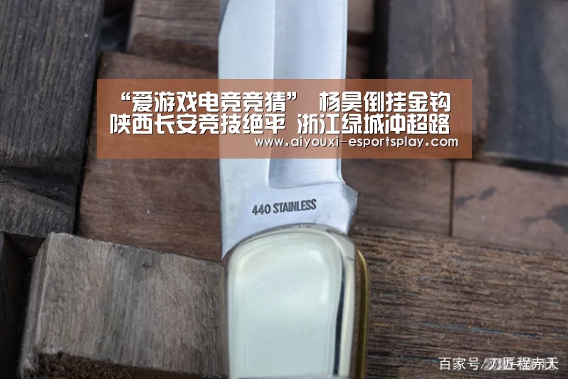 “爱游戏电竞竞猜”
杨昊倒挂金钩 陕西长安竞技绝平 浙江绿城冲超路道阻且长(图3) 爱游戏电竞平台