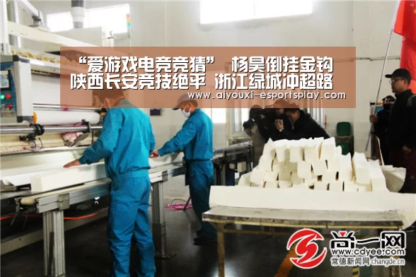 “爱游戏电竞竞猜”
杨昊倒挂金钩 陕西长安竞技绝平 浙江绿城冲超路道阻且长(图4) 爱游戏电竞直播