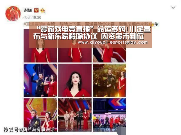 爱游戏电竞竞猜