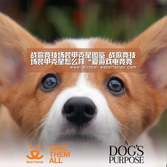 战歌竞技场装甲克星图鉴 战歌竞技场装甲克星怎么样“爱游戏电竞竞猜”(图3) 爱游戏电竞竞猜